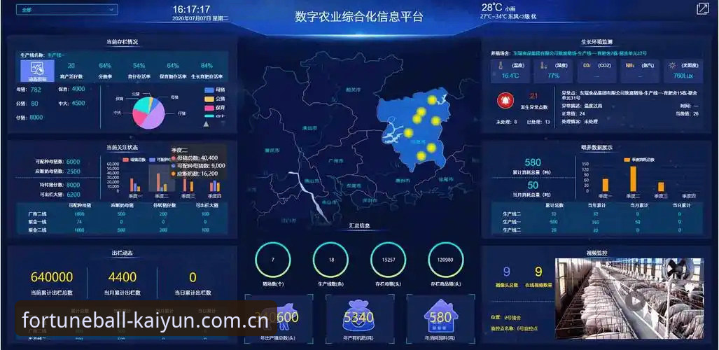 KAIYUN线上买球安全吗？对比2024主流平台后的真实结论